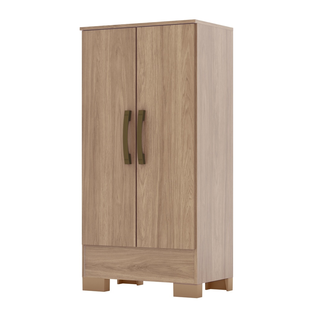 ARMOIRE 2P  BOIS  