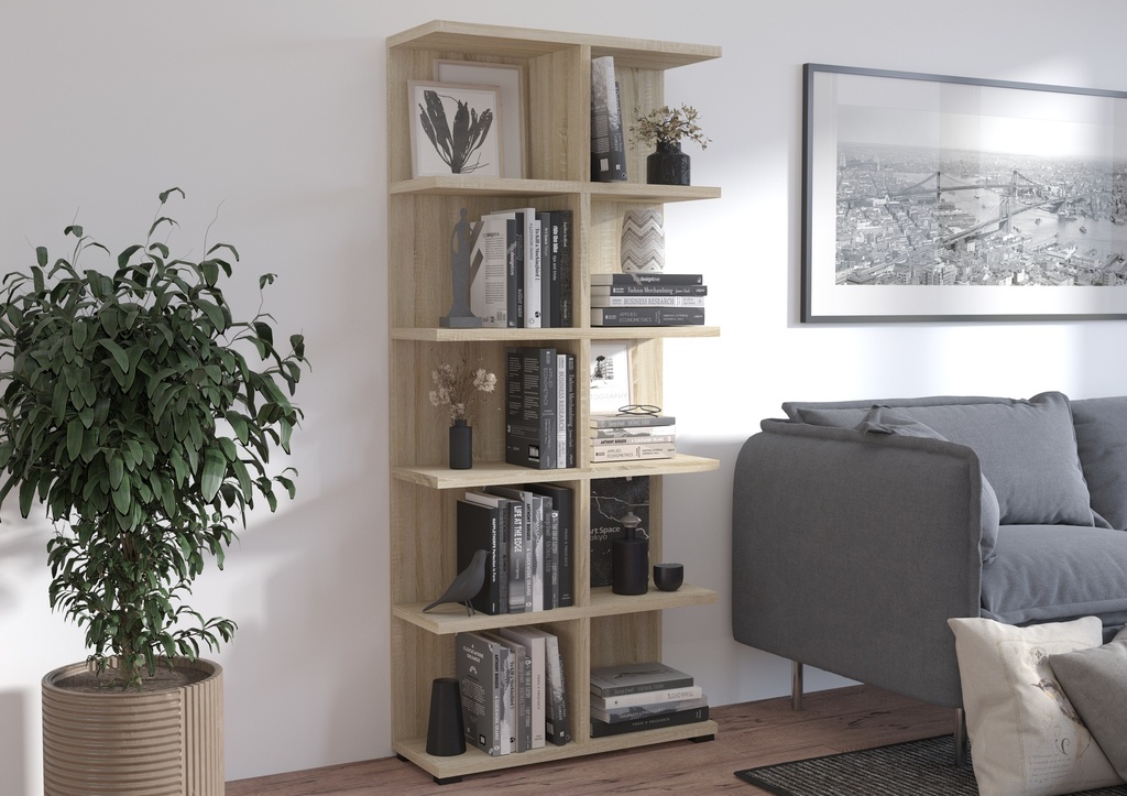 BIBLIOTHEQUE MORE SO05