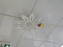 LAMPE LED  75*75*11 REF 1168   ETOILE