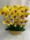 FLEUR COMPOSEE B200